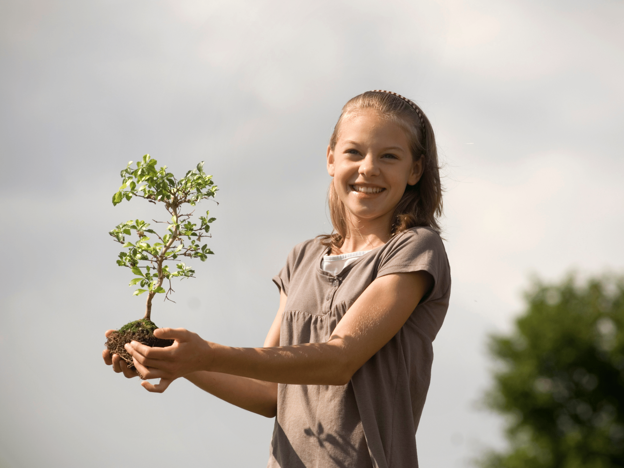 Design ohne Titel ()